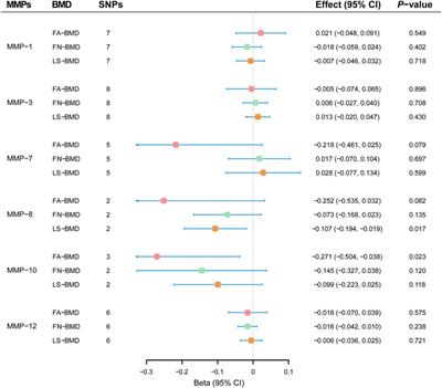 Matrix Metalloproteinases in Relation to Bone Mineral Density: A Two-Sample Mendelian Randomization Study